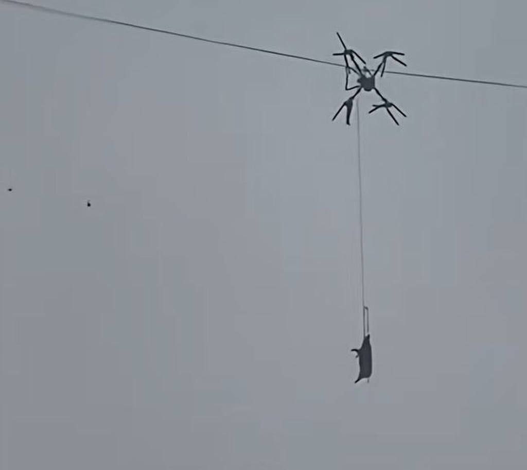 GrutaPig's tweet photo. My sister. Also a piggy and high technologies. Rumors say she was also called Gruta 🐽

Pig on a drone caused a 10-hour blackout in China.

A local farmer decided to transport a pig across the mountains using a drone, but it got caught on high-voltage wires, and the piggy hung in the air for a long time.

Thousands of Chinese people were left without electricity, and the accident was fixed by 12 electricians at once. It took them 10 hours to remove the pig and repair the line.