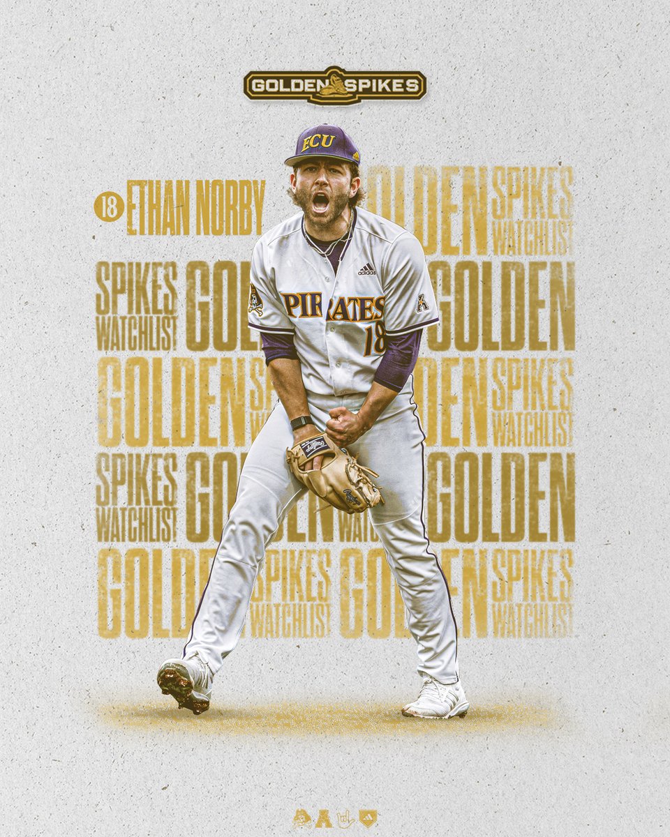 ECUBaseball's tweet photo. He's Golden!

@norby_ethan has been named to the @USAGoldenSpikes Award watchlist, awarded to the top amateur baseball player in the nation. https://t.co/SrtP95fCkg