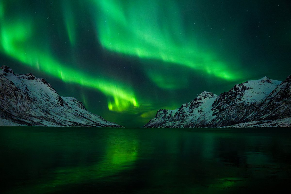 Silly noodle dragon tweet media