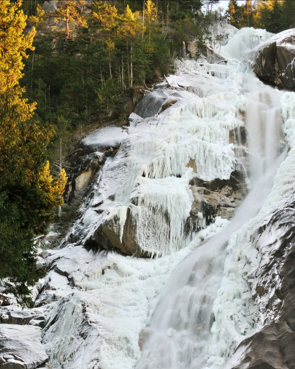 BritishColumbia.com tweet media