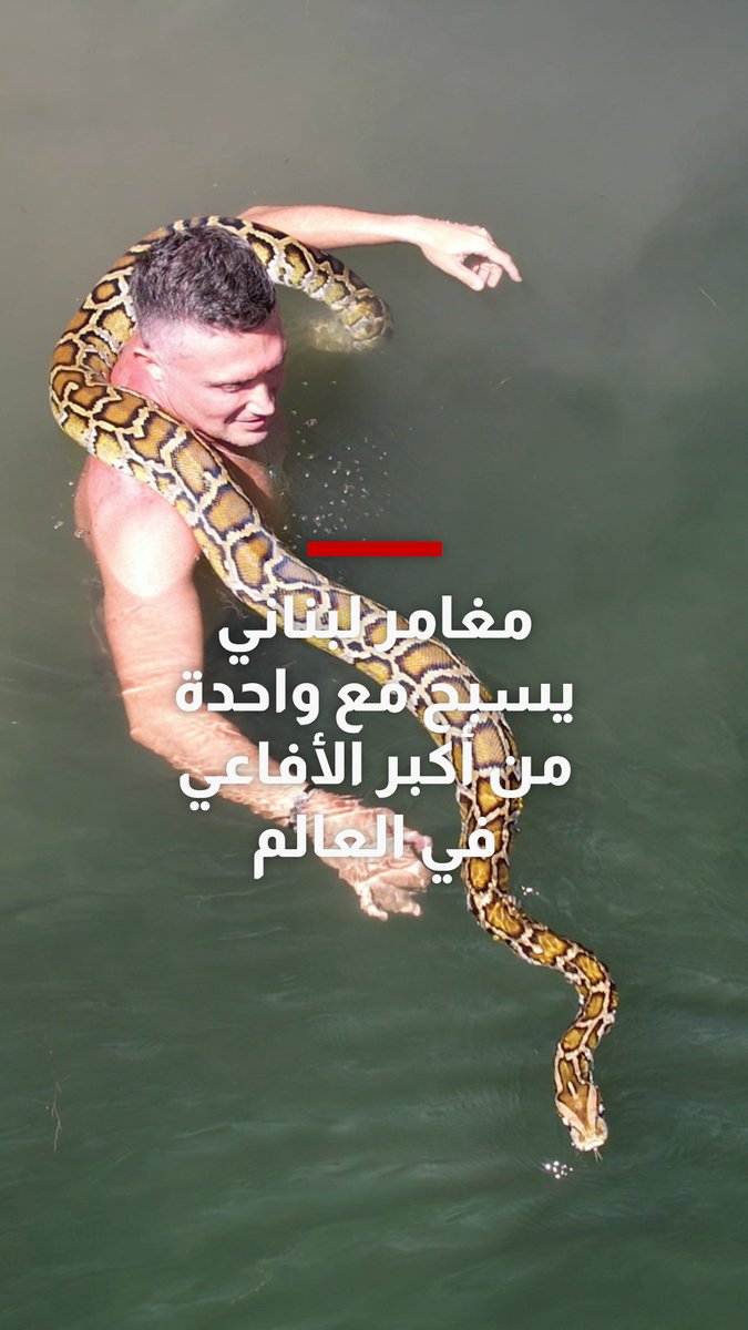 مغامر لبناني يسبح مع واحدة من أكبر الأفاعي في العالم 