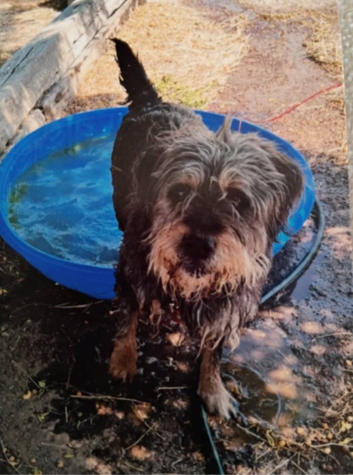 Mike Ryan tweet media