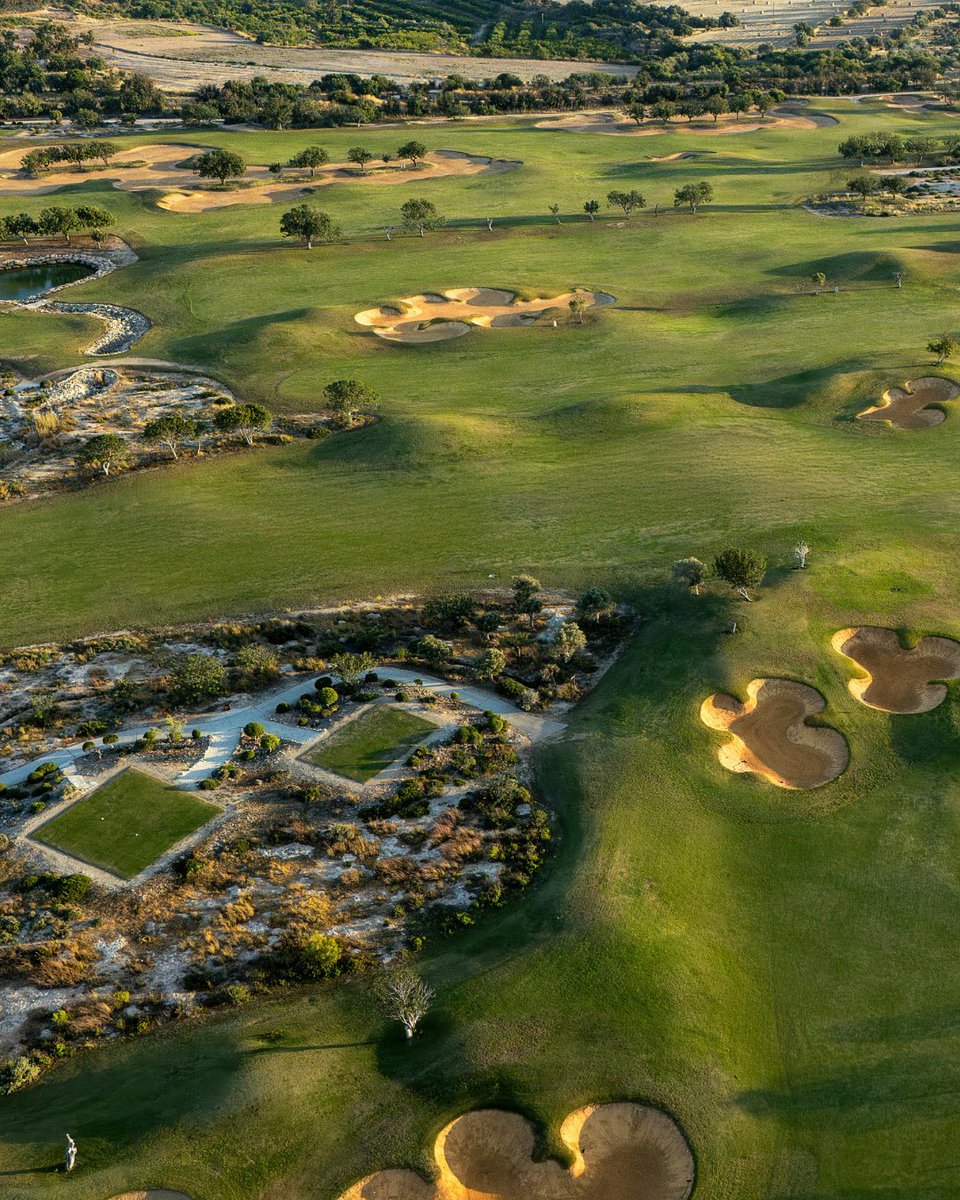 Faldo Design tweet media