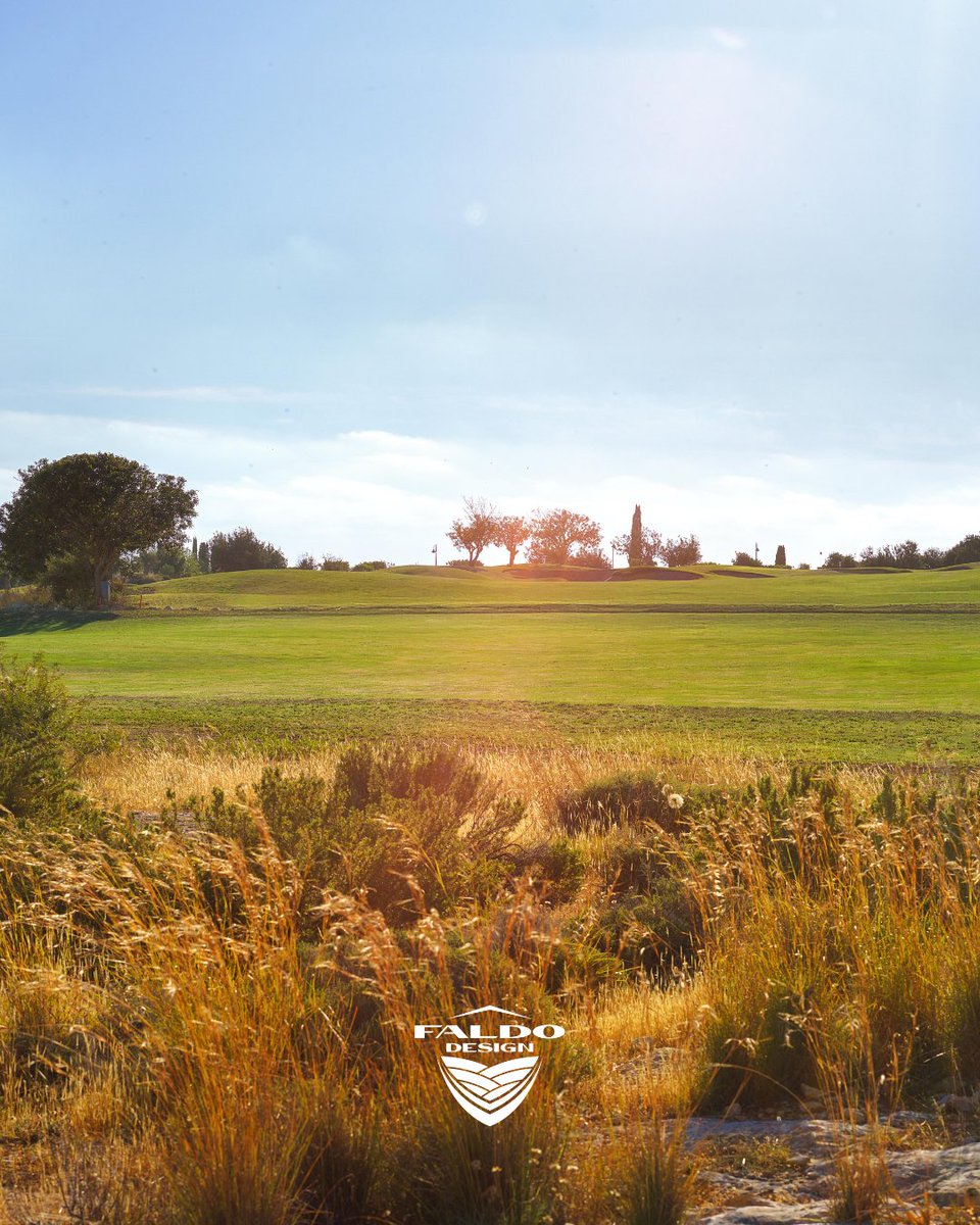 Faldo Design tweet media