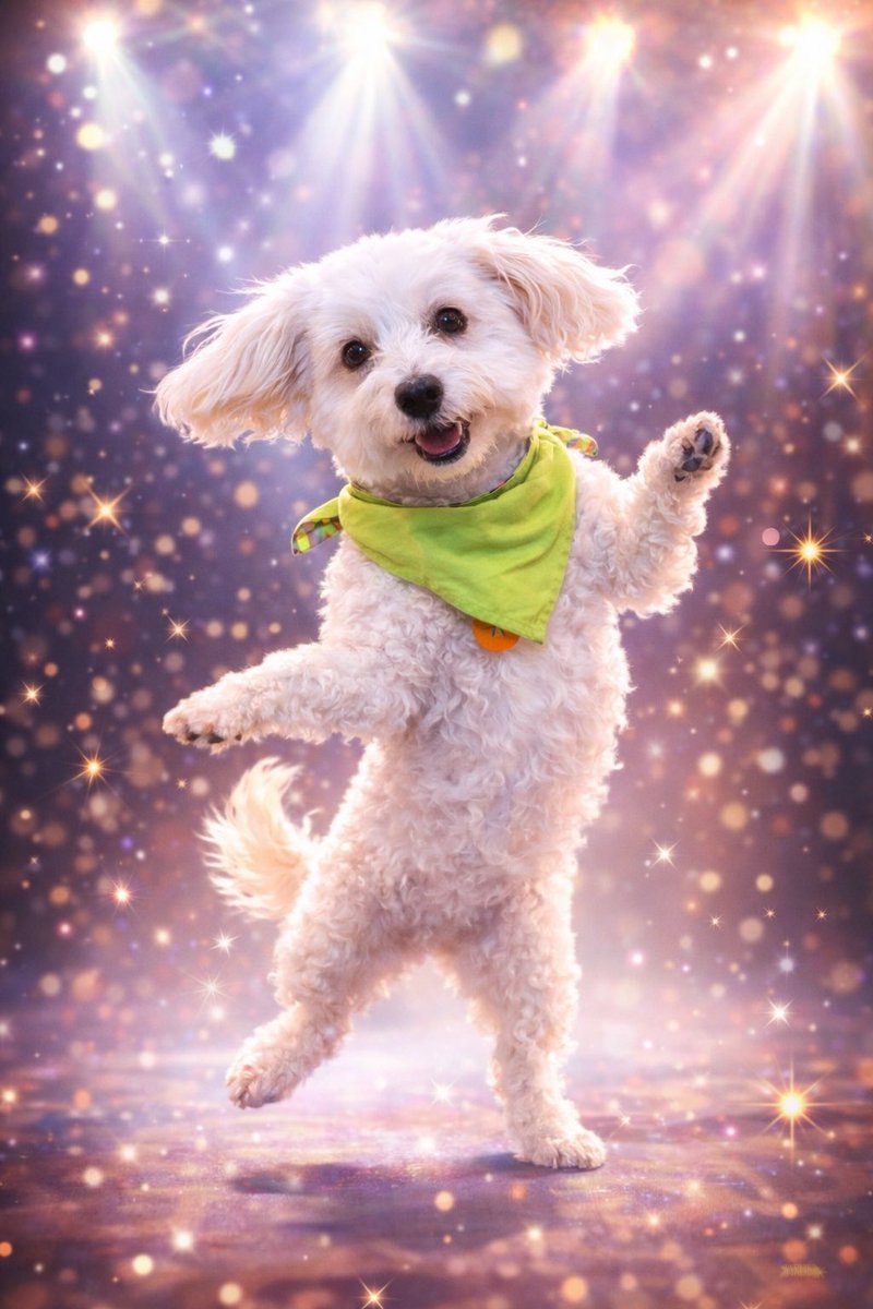 It’s FRI-YAY dear frens!!! 💫 Dance like no one’s thems not watching 💚🐶🐾 #fridayvibes #AI (obviously) #dogsoftwitter #dogsofx #adogslife #doggo #pets