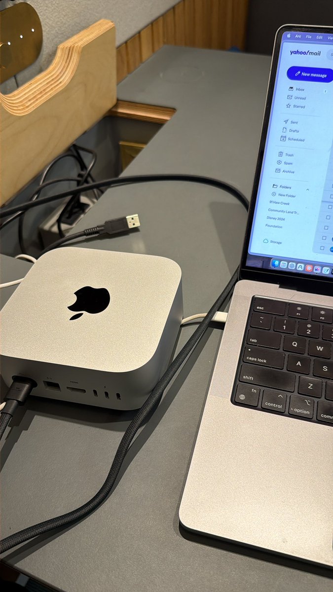 Philip🦁 tweet media