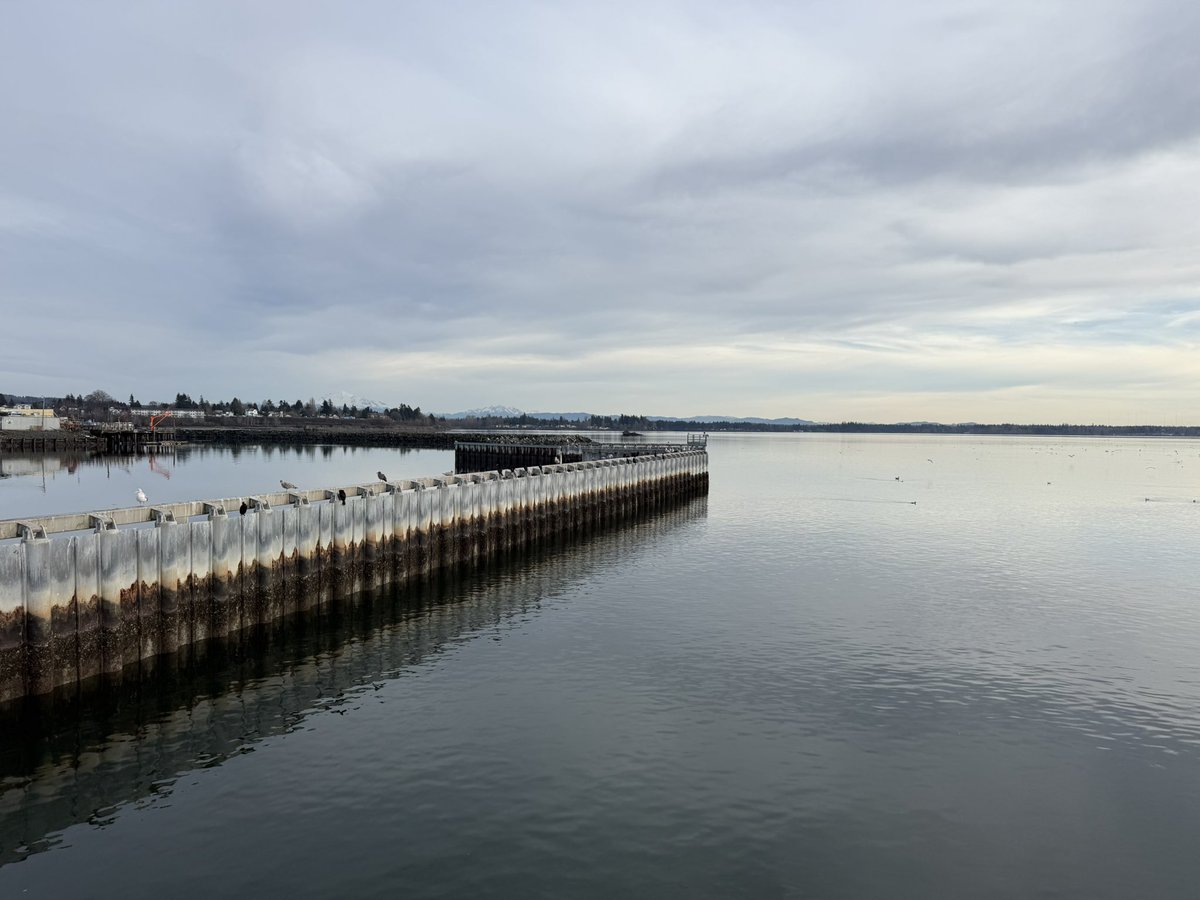 nicklopic's tweet photo. The PNW is genuinely breathtaking and I wish I had a little more time to explore after work https://t.co/KJdocFRVgb