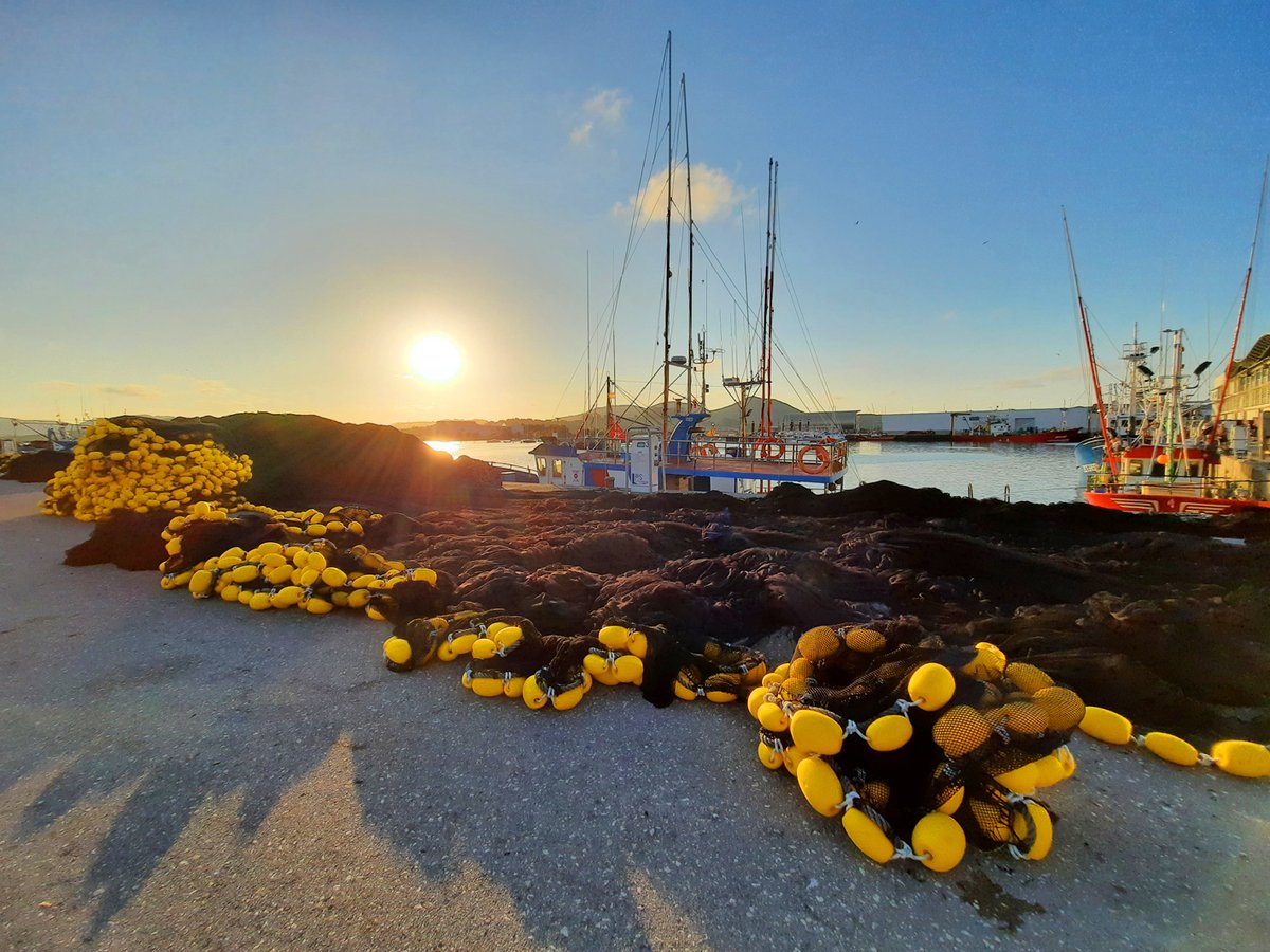 Aromas de salitre y artes en el Puerto de Santoña al atardecer ️ 🌅  🌊

Nada como un buen paseo entre redes, boniteras y olor a puerto. Un rincón con alma, muy cerca de casa 🩵💢

#Santoña #TradiciónMarinera #CantabriaInfinita
