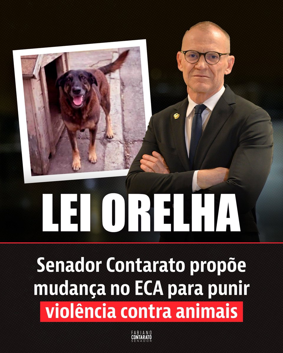 VAMOS APROVAR A "LEI ORELHA"!

Você sabia que o Estatuto da Criança e do Adolescente só determina medida socioeducativa para atos violentos contra "pessoas"? Ou seja, a punição não considera a violência contra animais! É justamente essa brecha que quero corrigir, com o Projeto de