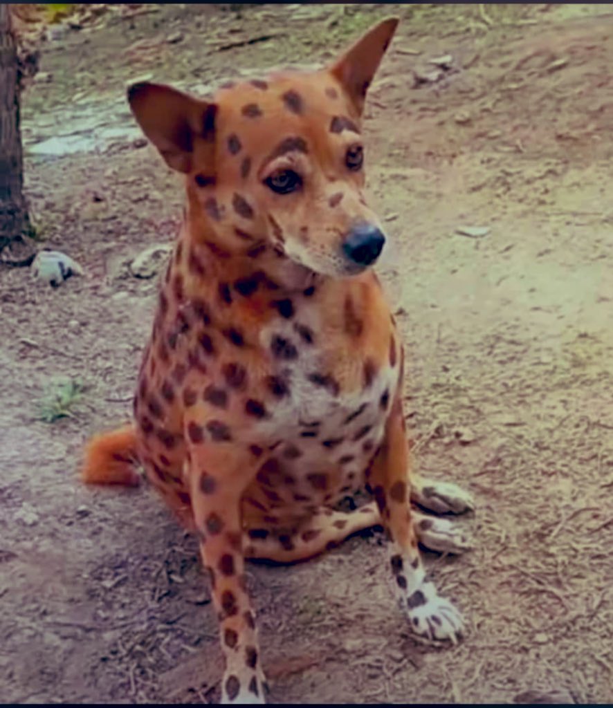 #Μβεʏαβσʏ tweet media