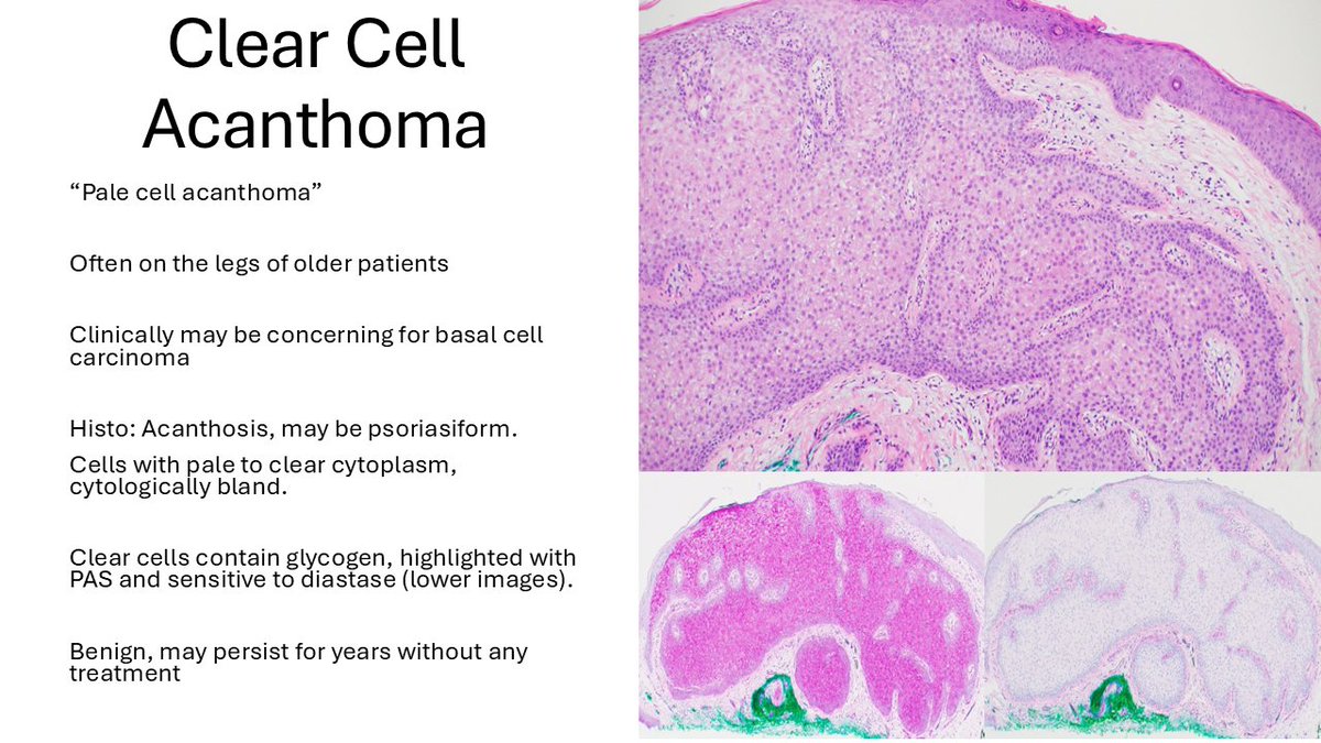 The Joint Pathology Center (JPC) tweet media