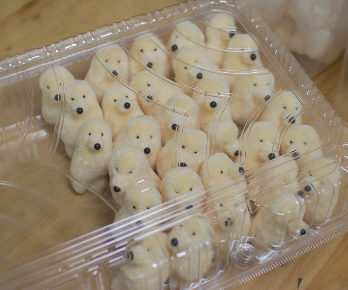 カネヒラ (@simainusima) / Posts / X