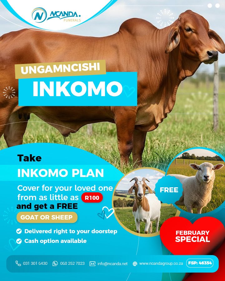 Kulenyanga yothando UNGAMNCISHI INKOMO! Thathela othandiweyo wakho inkomo plan ehamba nembuzi noma isklabhu ngaphezulu mahhala!
Kusukela kuR100. Phuthuma ingaze ivale inkomo special!!!
#Ncandafunerals #Ungamncishiinkomo #monthoflove