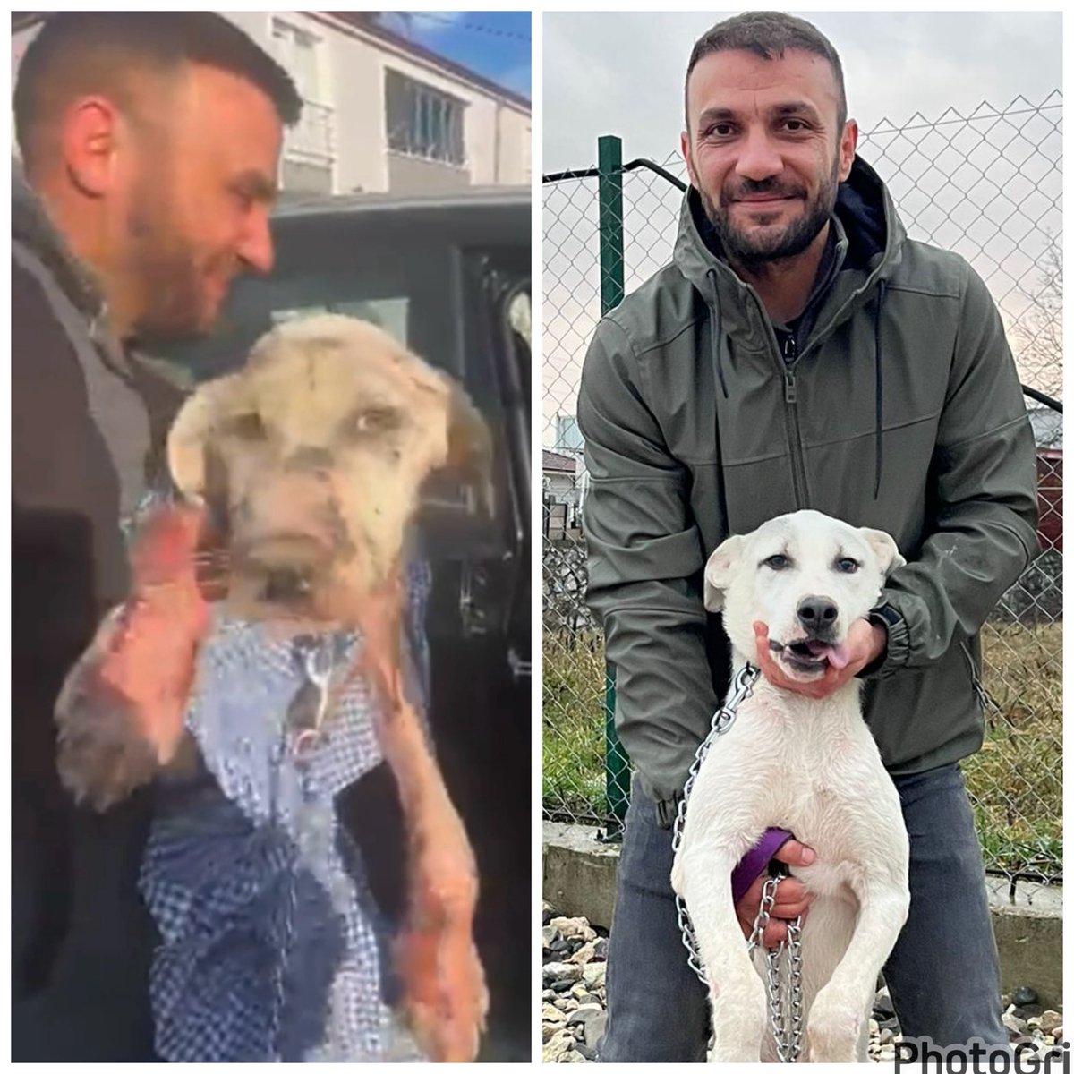 Köyden Bu Masumu Aldığımda,
Biri,Bu Köpeği Ne Yapacaksınız Demişti🤔
Onun İçin Çöpe Atılmış Bir Paçavraydı,Gereksizdi❗️
Benim İçinde,Geleceğime Umut Olacak Nadide 
Bir Parça❤️
Bu Masumlara Acımayanlara Acımayın.
Sevmeyenleri,
Hayatınızdan Kovun❗️
#SokakHayvanlarıSahipsizDeğildir