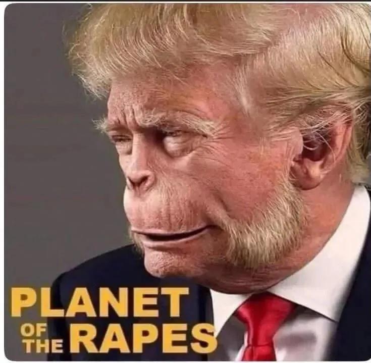 Robert Stelling tweet media