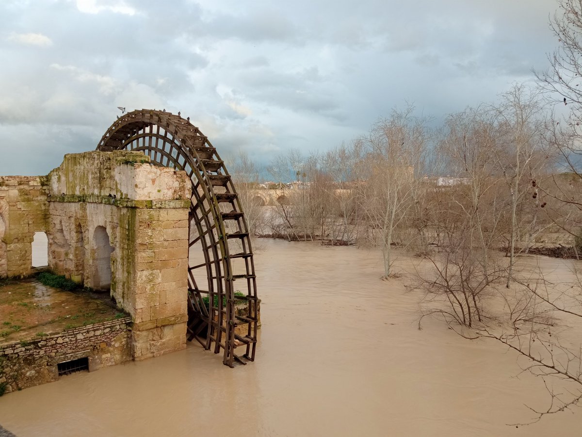 Wandmaker ϟ tweet media