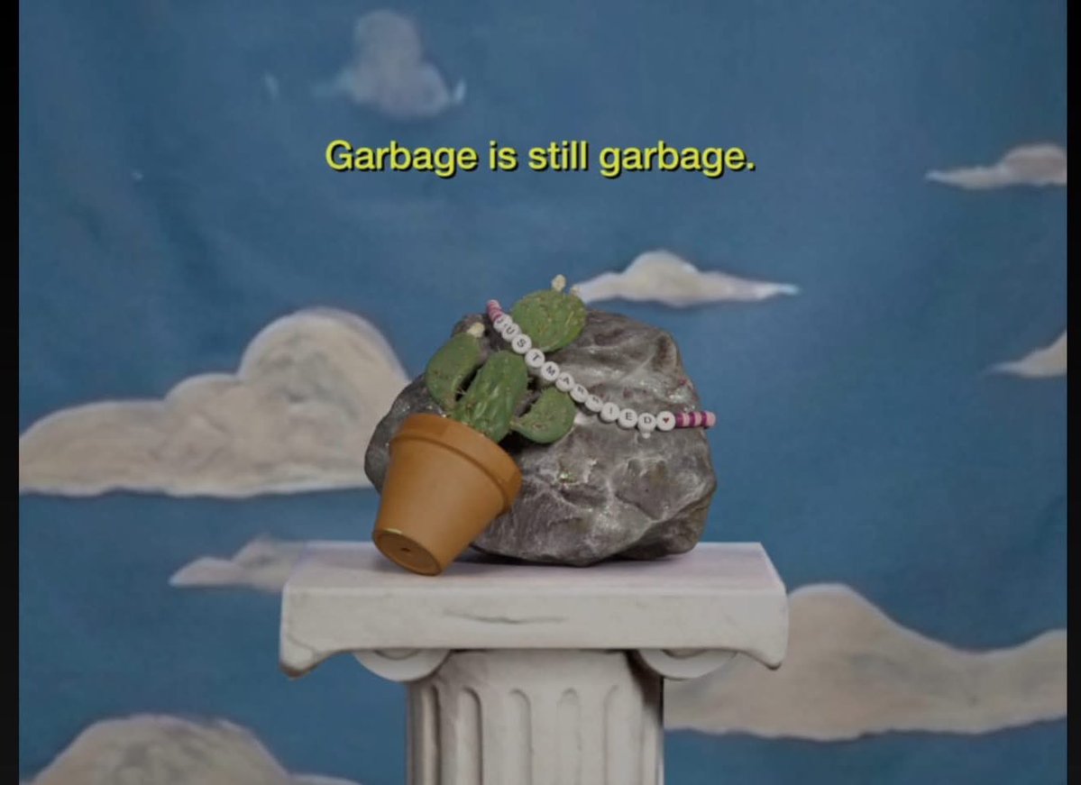 fvabrams's tweet image. Le mostré el video de opalite a mi mamá y cuando salió esto ella dijo "ay, porque el cactus no puede lastimar a la roca 🥰", luego leyó el garbage is still garbage y su cara tipo 🤡