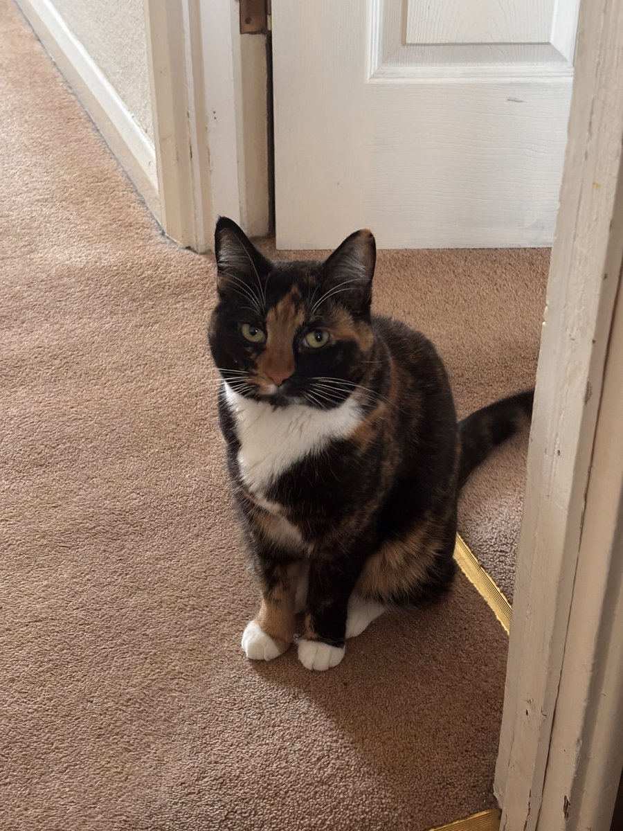 Stephanie Addington (she/her) tweet media