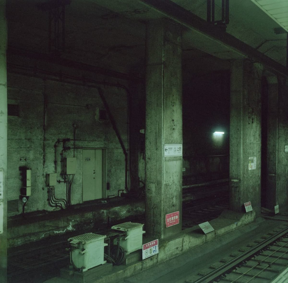 amalgamatomaton tweet media