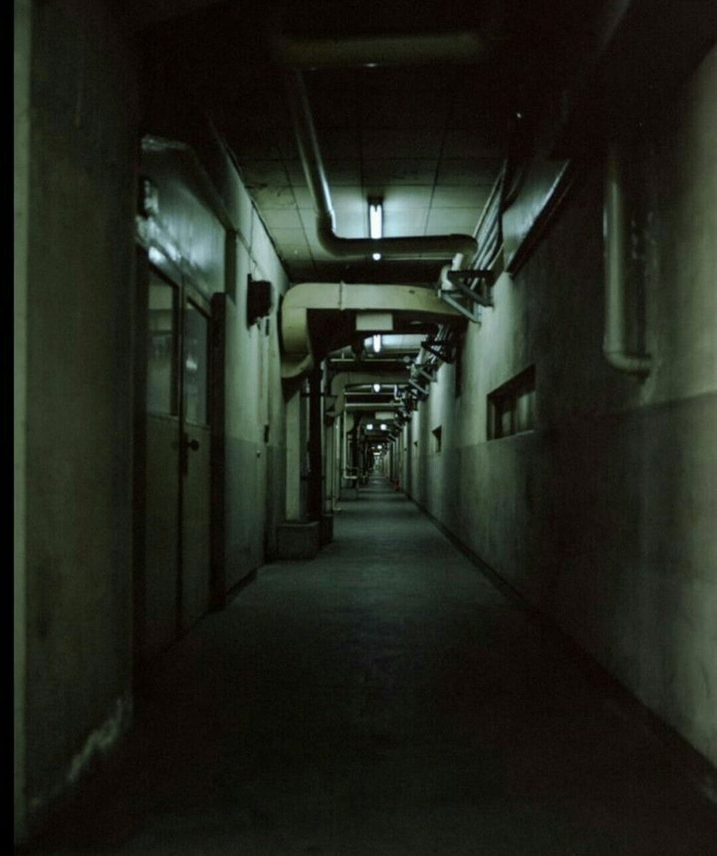 amalgamatomaton tweet media