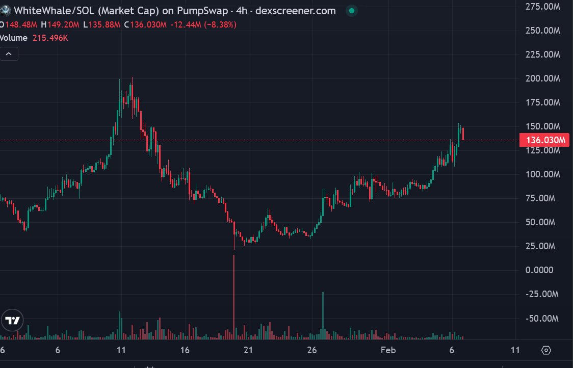 The only gem that stayed unbeatable during the $BTC dump is $WHITEWHALE.

This is going much higher.

Inevitable.