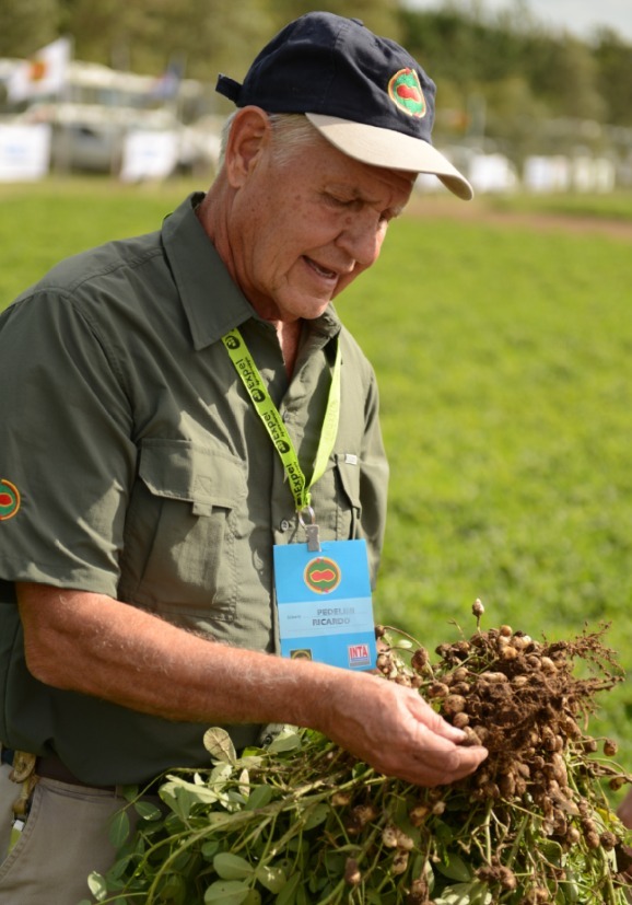 INTA Manfredi tweet media