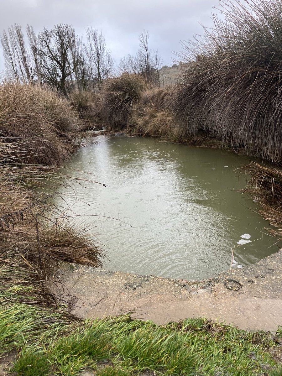 gabrielgl8's tweet photo. Rio Lezuza (Albacete) hace un mes y esta tarde. Los lugares de las fotos se encuentran a pocos km del nacimiento del rio. https://t.co/7LUFK23Dhj