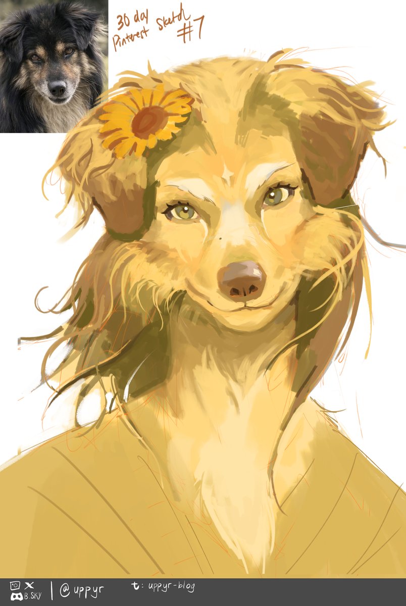 uppyr's tweet image. numba 7... a pretty gworl 🌻 7/30