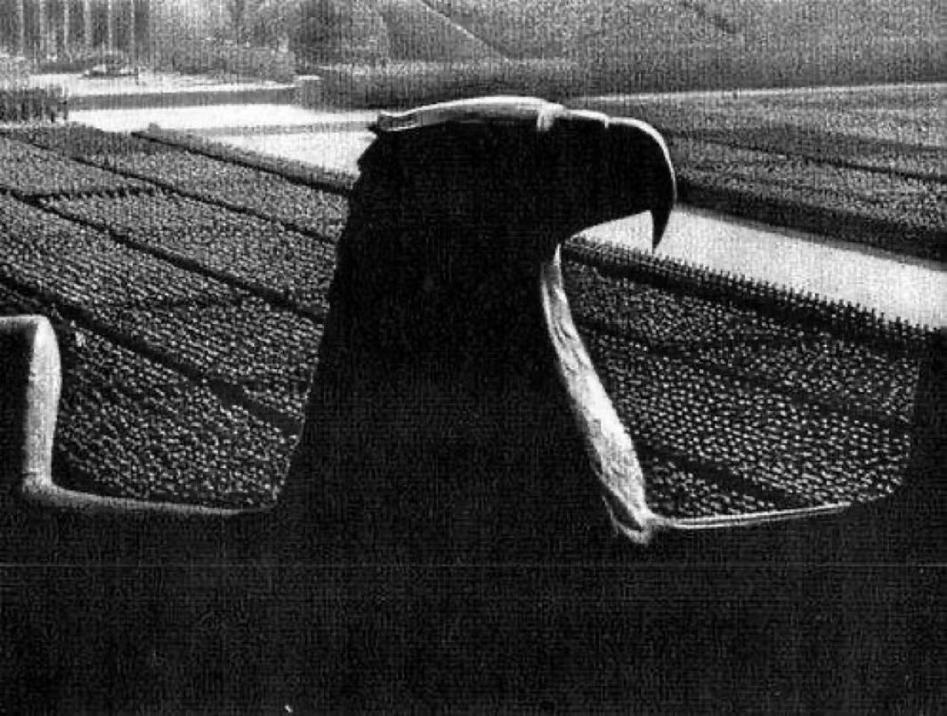 RealJustinLewis tweet media