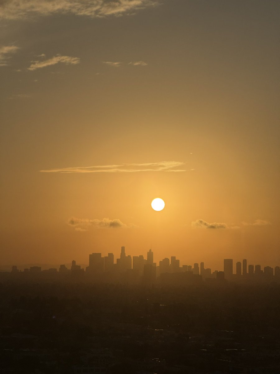 CAMELPHAT tweet media