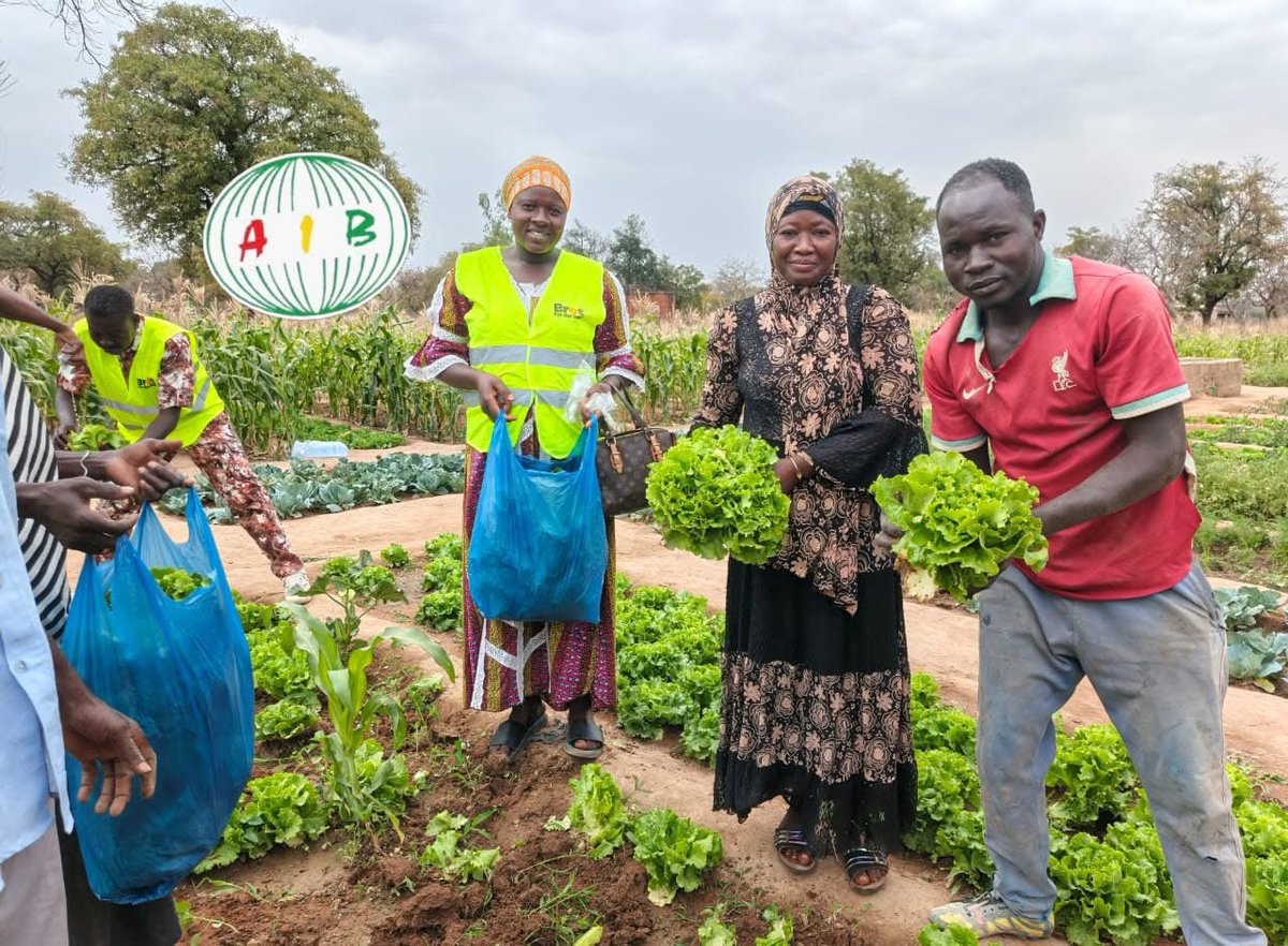 L_Activiste226's tweet image. #New226| #Burkinafaso🇧🇫⛔️‼️: 

#Bougouriba : des jardins scolaires pour renforcer la cantine endogène à Zanawa et Orkounou . 

Le Haut-Commissaire de la province de la Bougouriba, Amidou Konaté, a effectué, le mardi 03 février 2026, une visite de terrain à l’école primaire de