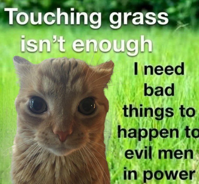 GaK (@gakstercat) on Twitter photo 