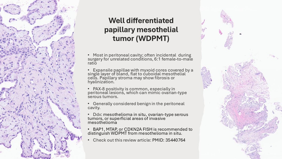 The Joint Pathology Center (JPC) tweet media