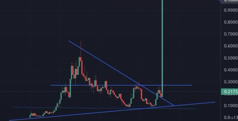 WhaleEverything's tweet image. What memecoin is about to 10000x next? 📈