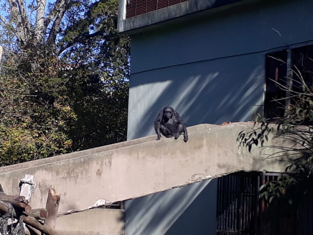 Pedro Pozas Terrados tweet media