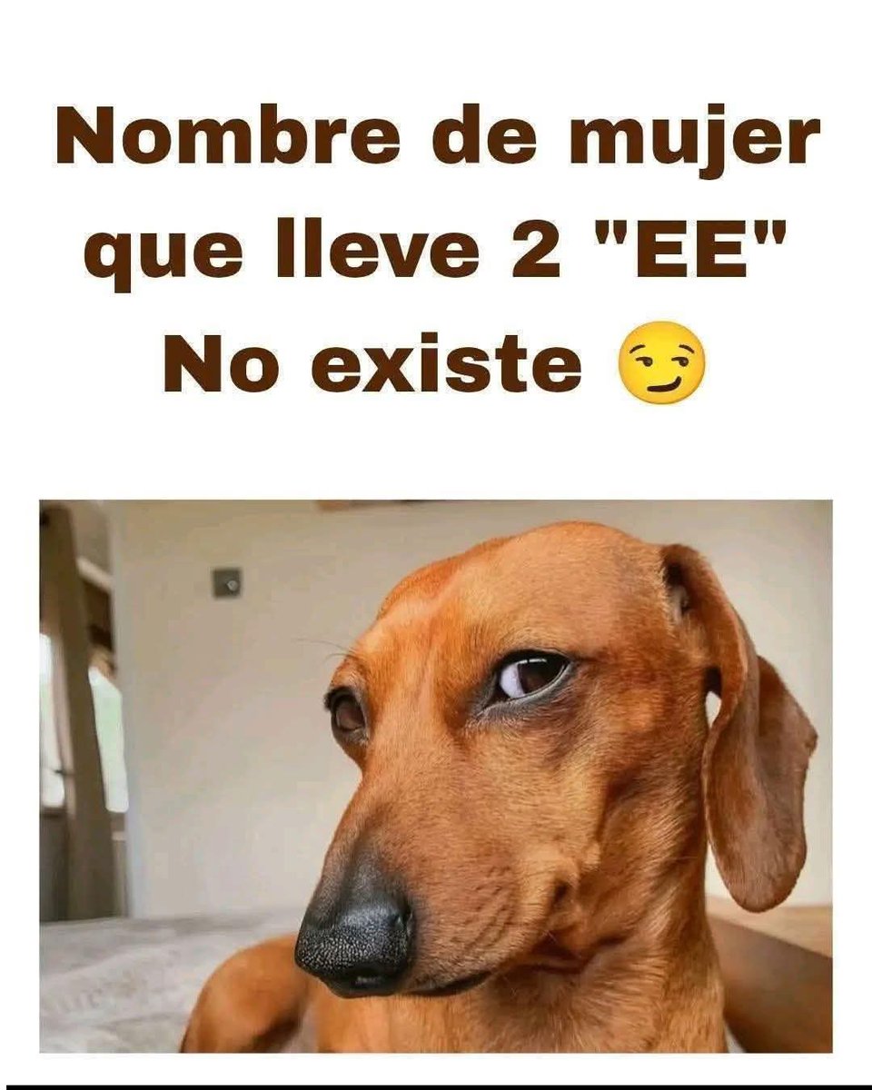 Diego Royet tweet media