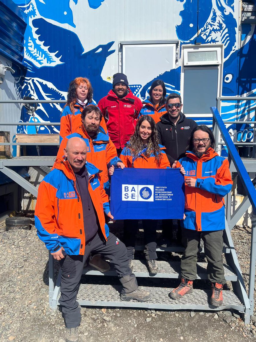 Instituto Milenio BASE tweet media