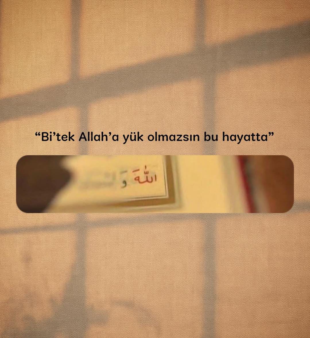 Elif Kurt (@elifkurt_23) on Twitter photo 