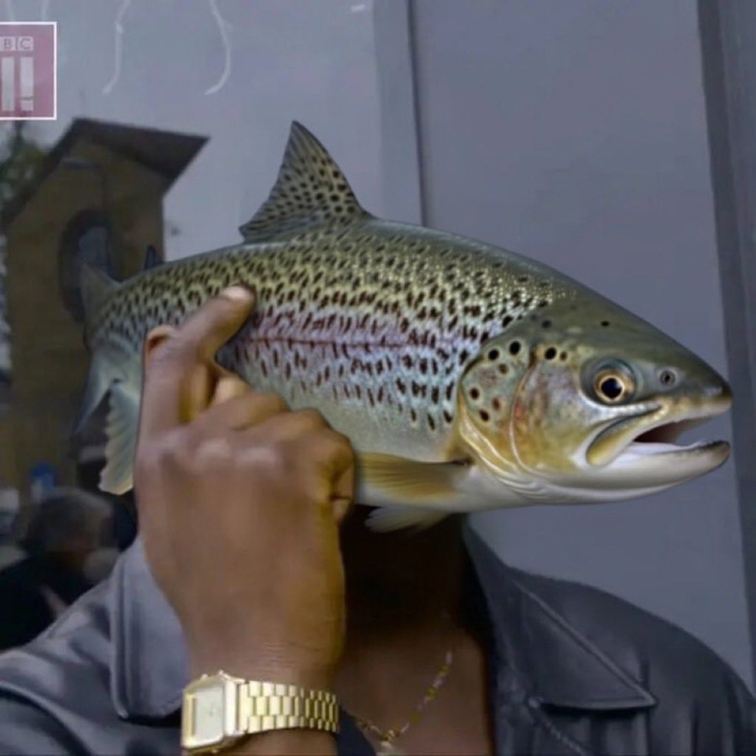 Wtf is a bear market when you go fishing for Big $TROUT ?

Asking for a fren Anon.

EKwF2HD6X4rHHr4322EJeK9QBGkqhpHZQSanSUmWkecG