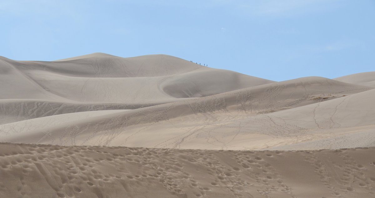 COS_foto_grl's tweet image. #DailyPictureTheme  #undulating 

Great Sand Dunes National Park  #Colorado @GreatDunesNPS