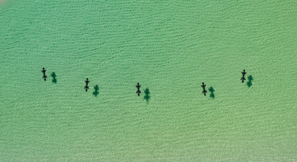 will o’brien tweet media