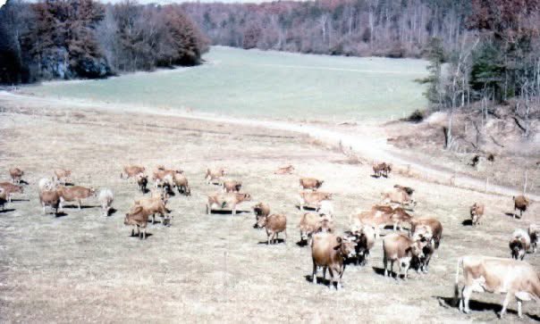 Doug Rice tweet media