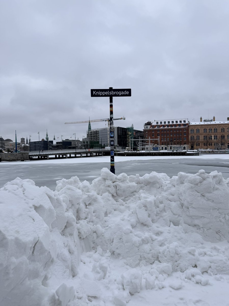 AMOS - Anna-Marie Sullivan tweet media