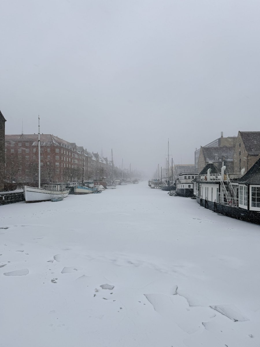 AMOS - Anna-Marie Sullivan tweet media