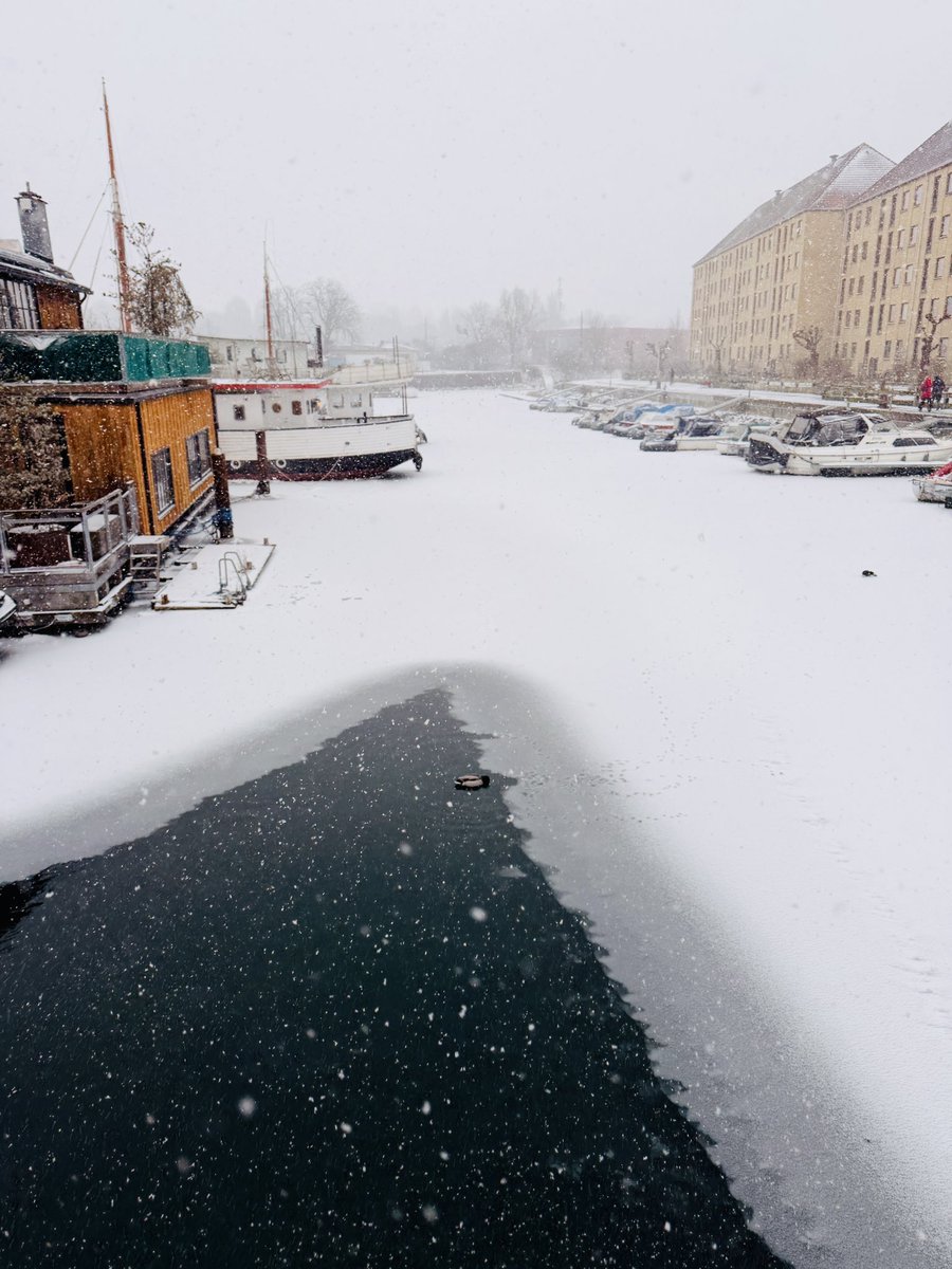 AMOS - Anna-Marie Sullivan tweet media