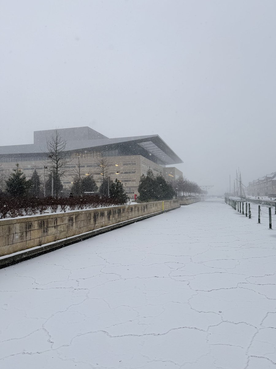 AMOS - Anna-Marie Sullivan tweet media