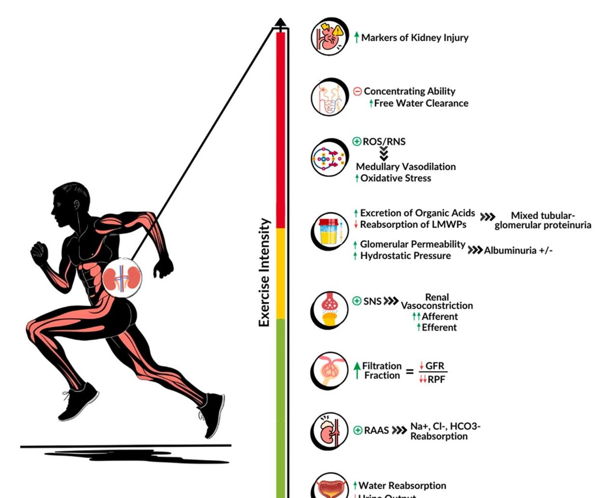 NefroClass tweet media