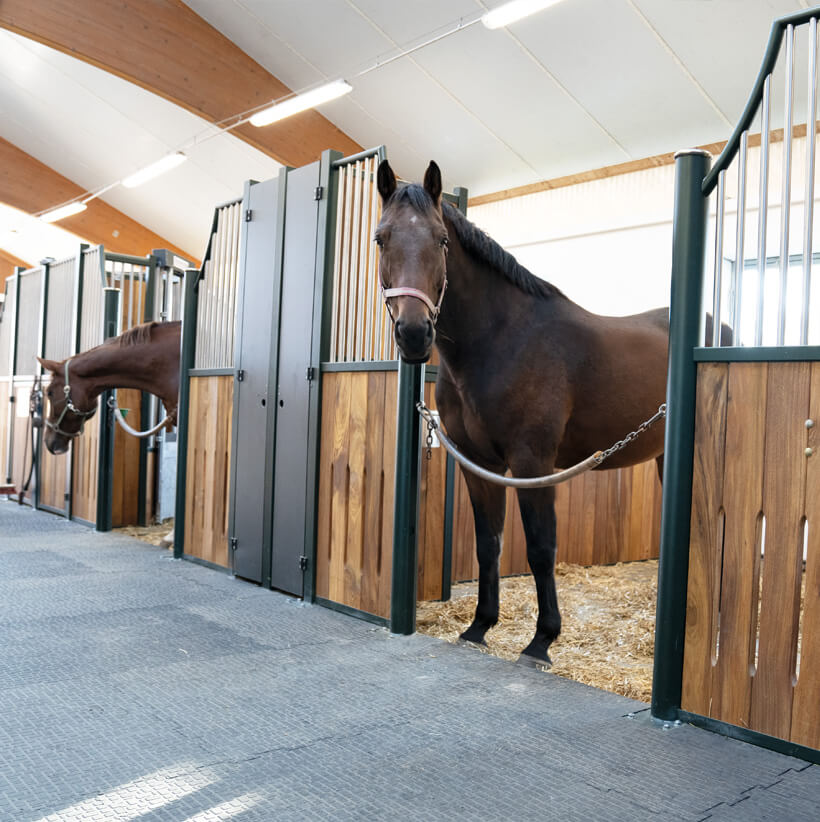 Do you have stable housing? 

*Me