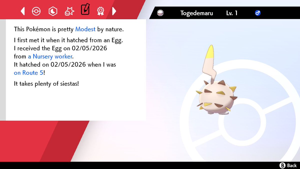 JediKush831's tweet image. SLD №912 

Forgot to post this yesterday… Shiny togedamaru after 426 eggs hatched! 

#AceShinyHunters #PokemonShield #MasudaCharm