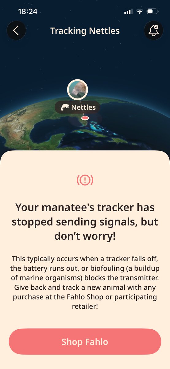 natallia MET DNP ミ☆ tweet media